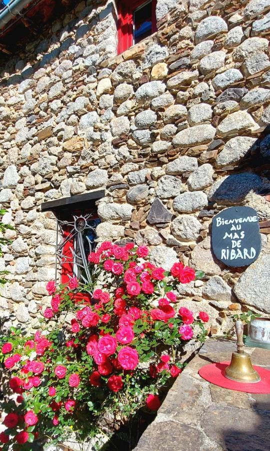 Le Mas De Ribard Breau-et-Salagosse Exterior photo